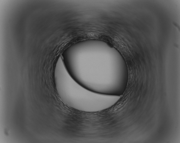 X0000093431249200710120910