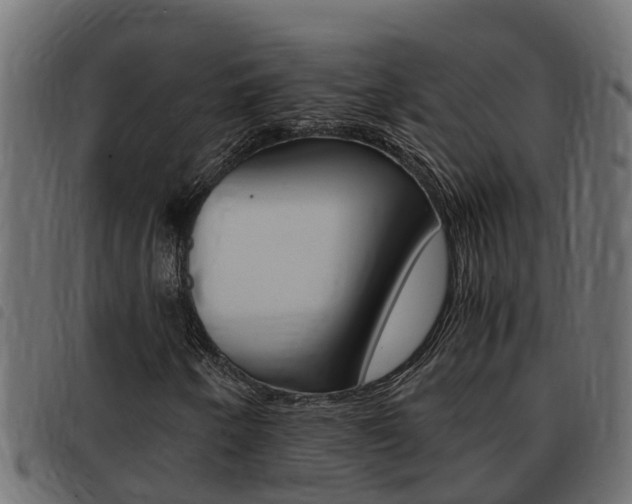 X0000093431250200710120910