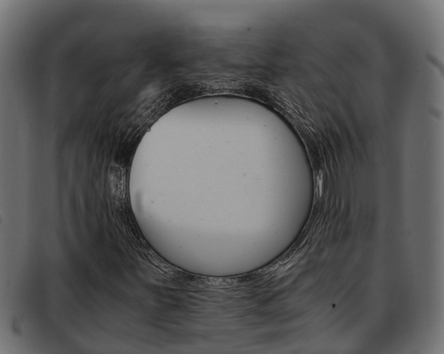 X0000093431251200710120910