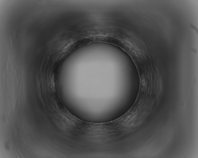 X0000093431252200710120910