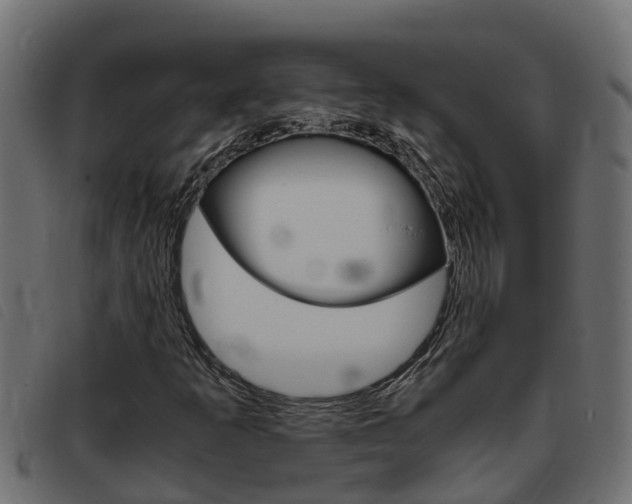 X0000093431253200710120910