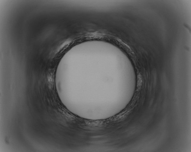 X0000093431254200710120910