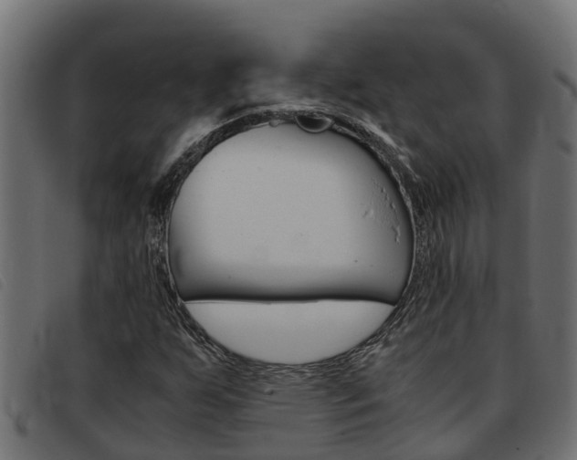 X0000093431255200710120910