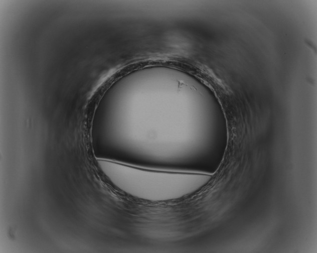 X0000093431256200710120910