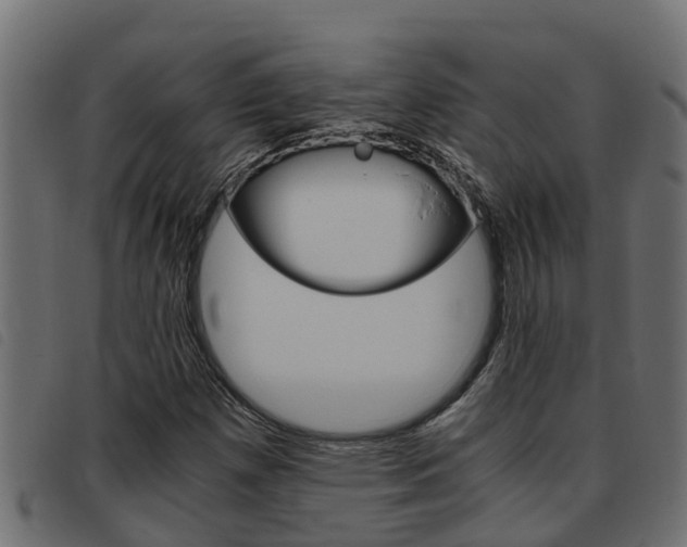 X0000093431257200710120910