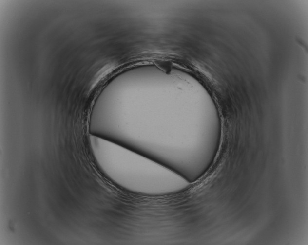 X0000093431259200710120910