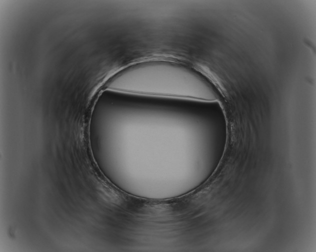 X0000093431260200710120910