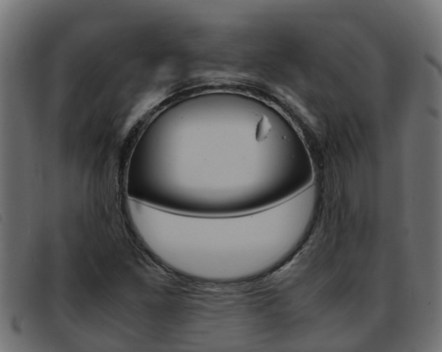 X0000093431261200710120910