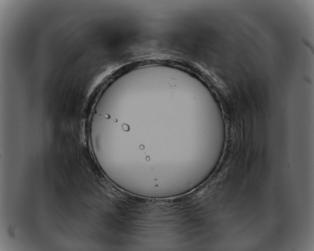 X0000093431262200710120910