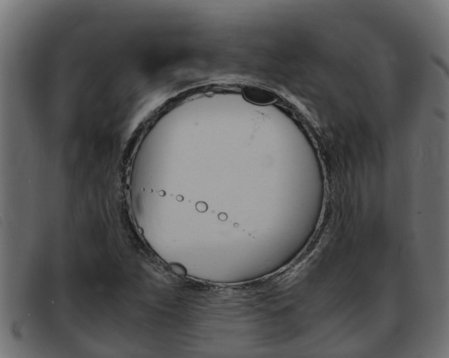 X0000093431263200710120910