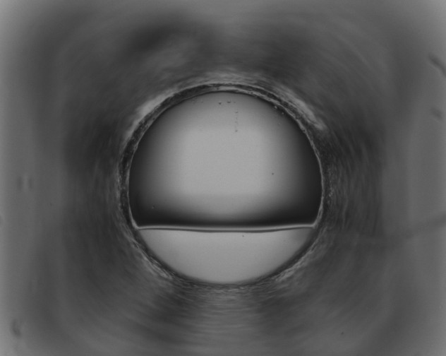 X0000093431264200710120910