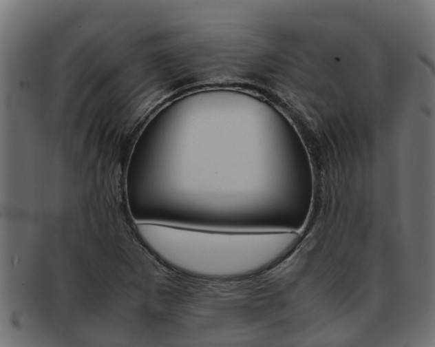 X0000093431265200710120910