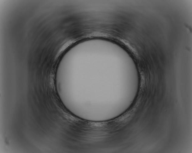 X0000093431266200710120910