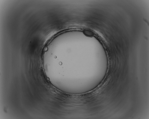 X0000093431267200710120910