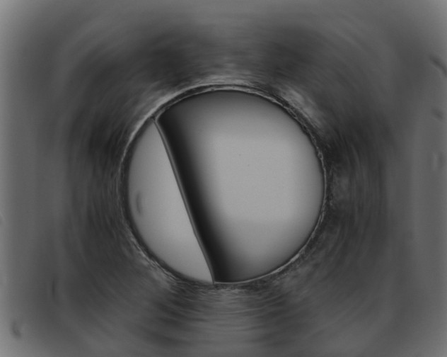X0000093431268200710120910