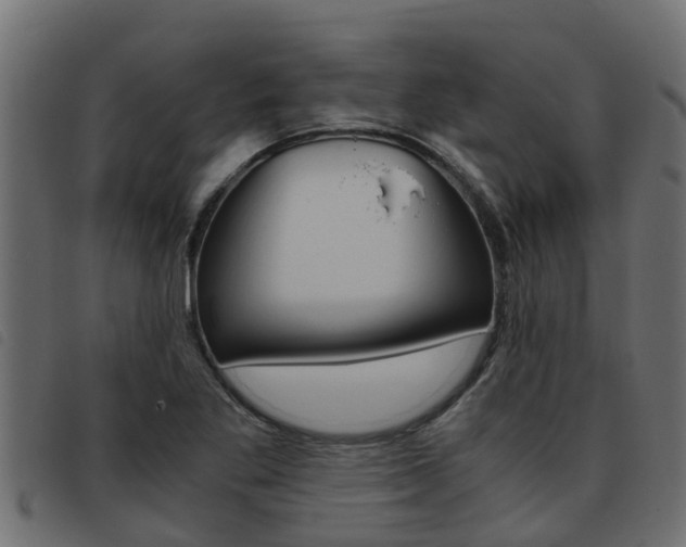 X0000093431269200710120910