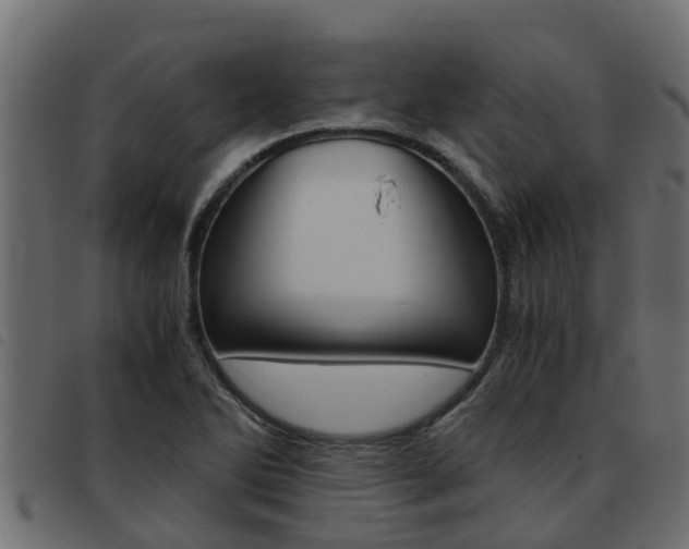 X0000093431270200710120910