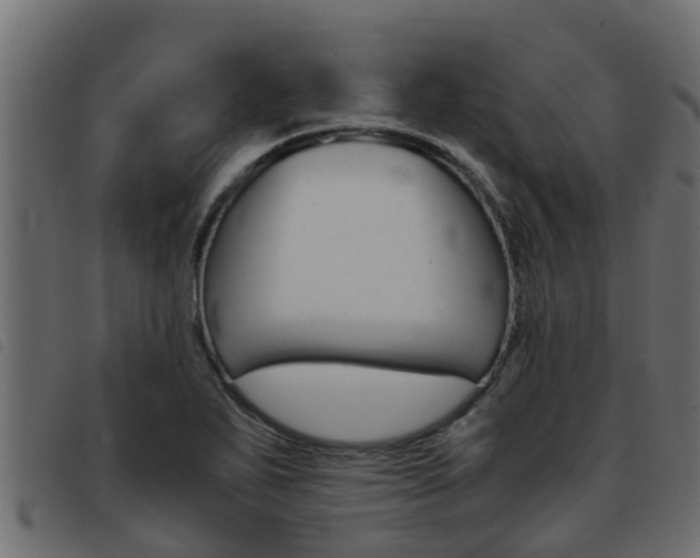 X0000093431271200710120910