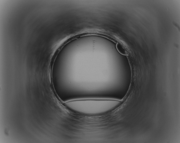 X0000093431272200710120910