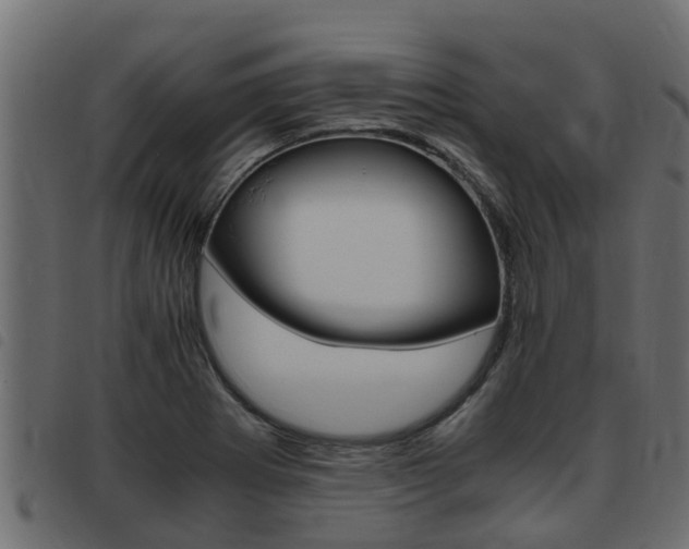 X0000093431273200710120910