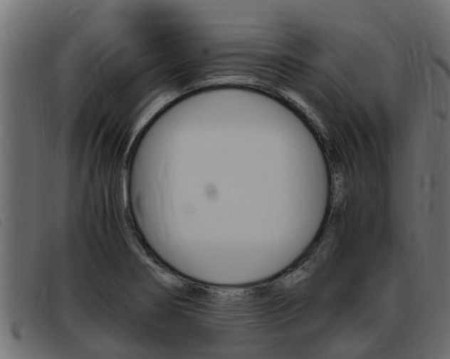 X0000093431274200710120910