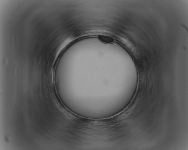 X0000093431275200710120910