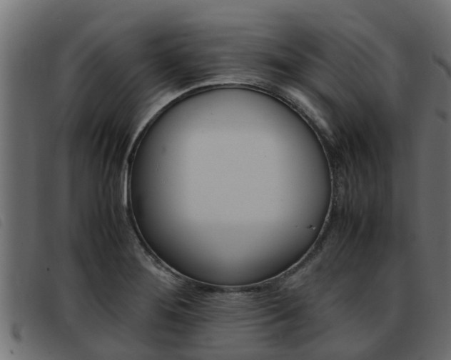 X0000093431276200710120910