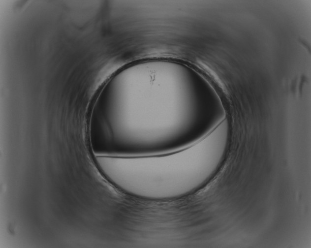 X0000093431277200710120910