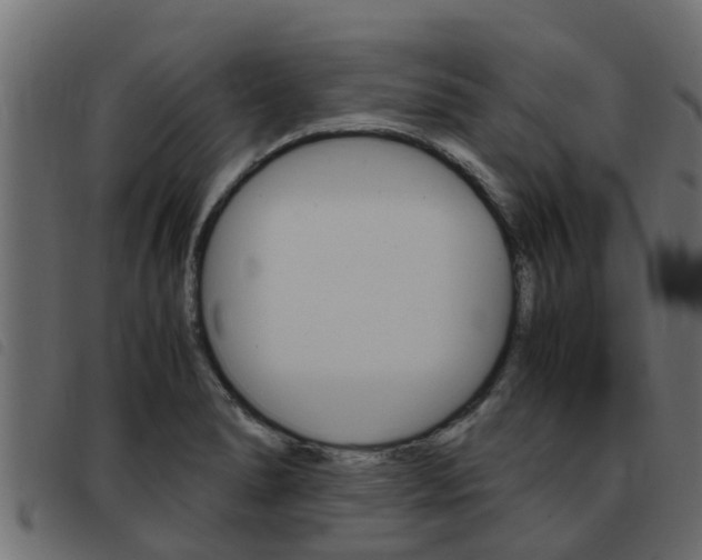 X0000093431278200710120910