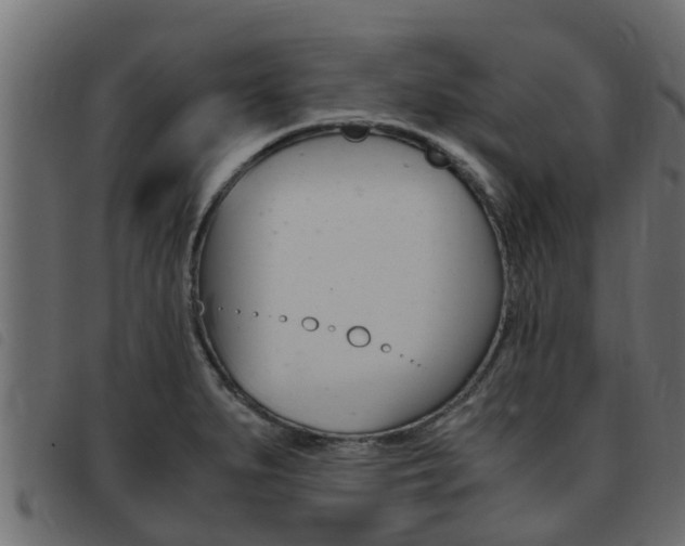 X0000093431279200710120910