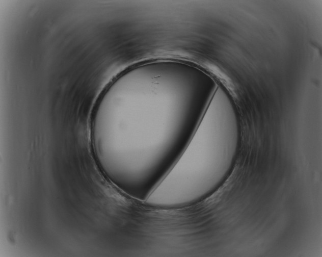 X0000093431280200710120910