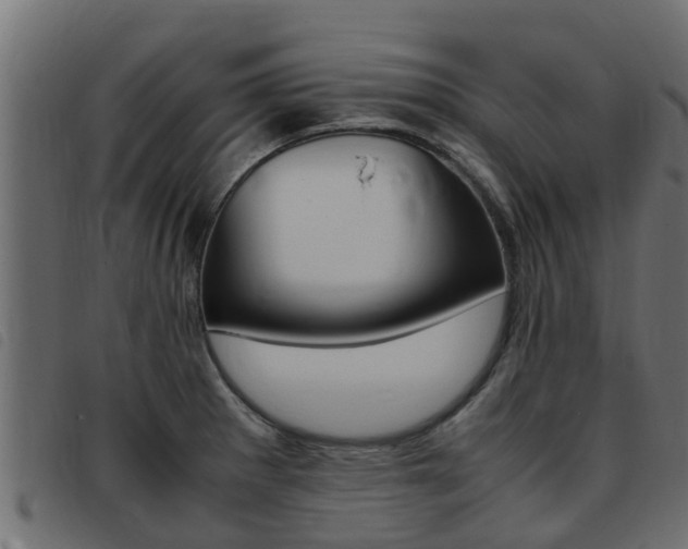 X0000093431281200710120910