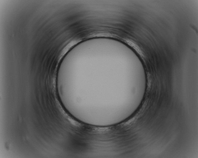 X0000093431282200710120910