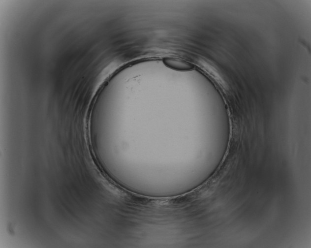 X0000093431283200710120910