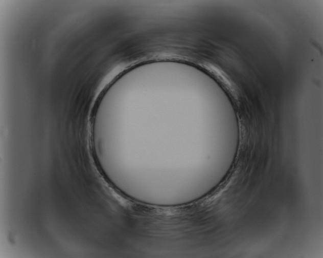 X0000093431286200710120910