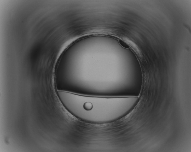 X0000093431288200710120910