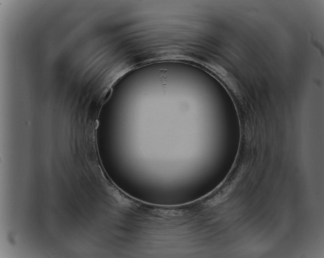 X0000093431289200710120910