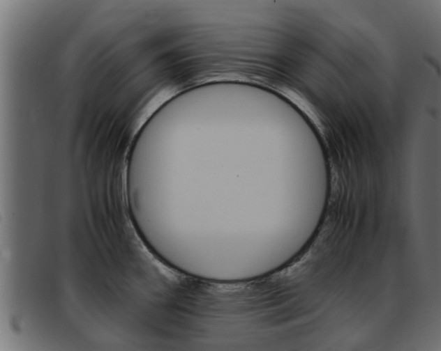 X0000093431290200710120910