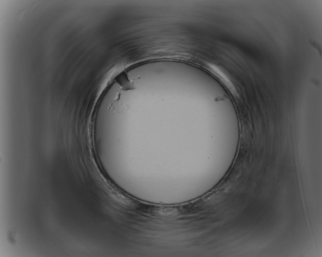 X0000093431291200710120910