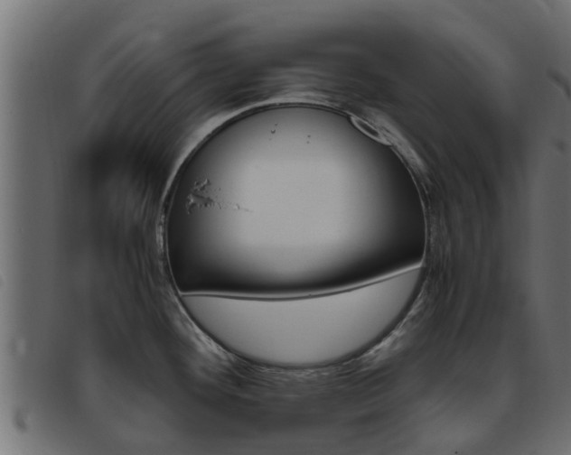 X0000093431292200710120910