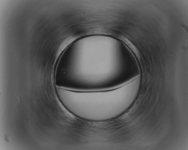 X0000093431293200710120910