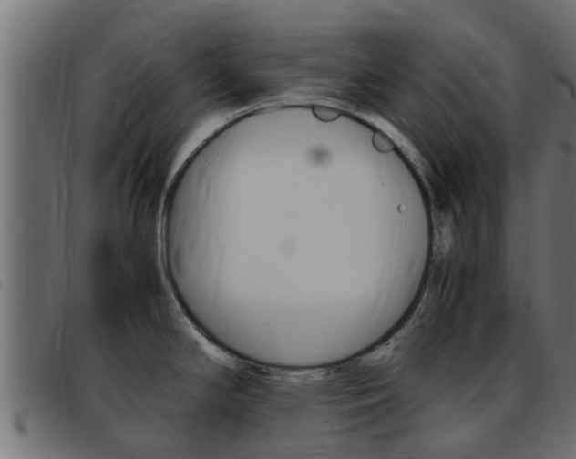 X0000093431294200710120910