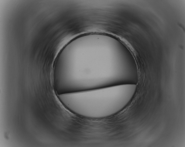 X0000093431295200710120910
