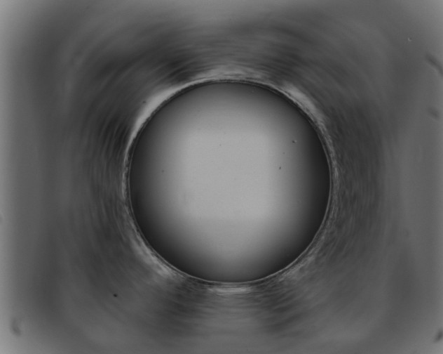 X0000093431296200710120910