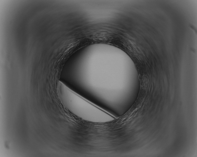 X0000093431297200710120909