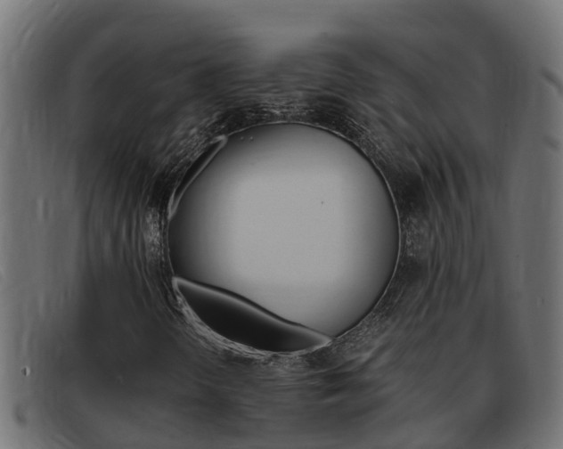 X0000093431298200710120909