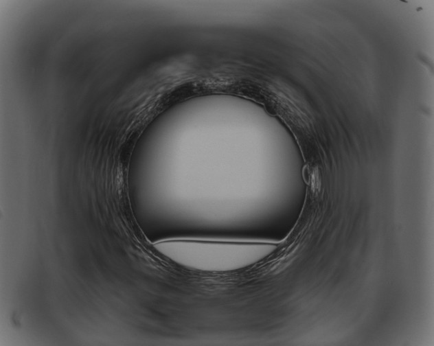 X0000093431299200710120909