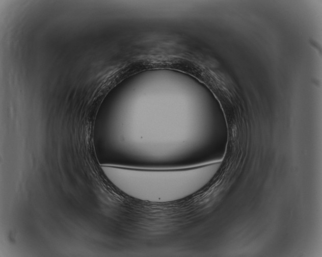 X0000093431300200710120909
