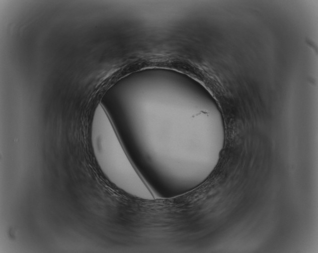 X0000093431301200710120909