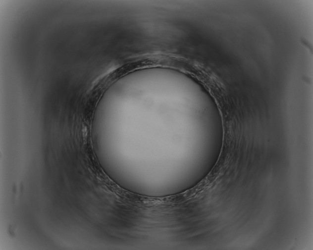 X0000093431302200710120909